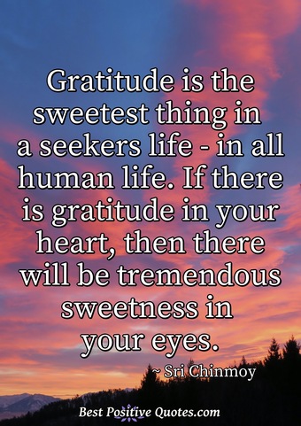 Gratitude is the sweetest thing in a seekers life - in all human life ...