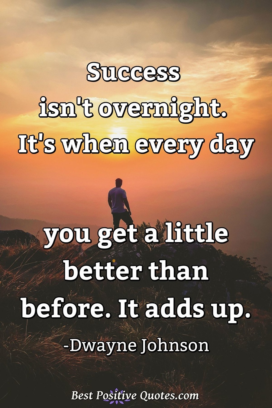 Success isn't overnight. It's when every day you get a little better ...